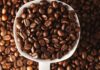 Arabica ve Robusta, dünya genelinde en yaygın olarak yetiştirilen iki temel kahve çekirdeği türü olarak öne çıkıyor. Her iki tür de milyonlarca insanın günlük tükettiği kahvelerin temelini oluştururken, yetişme koşullarından aroma profiline, kafein oranından üretim maliyetine kadar birçok farklı özelliğe sahip bulunuyor. Kahve tutkunlarının damak zevkine göre tercih ettiği bu iki çekirdek türü, aynı zamanda küresel kahve sektörü içerisinde önemli bir ekonomik değere sahip. Konulu bir haber görseli.