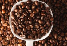 Arabica ve Robusta Arasındaki Farklar Arabica ve Robusta, dünya genelinde en yaygın olarak yetiştirilen iki temel kahve çekirdeği türü olarak öne çıkıyor. Her iki tür de milyonlarca insanın günlük tükettiği kahvelerin temelini oluştururken, yetişme koşullarından aroma profiline, kafein oranından üretim maliyetine kadar birçok farklı özelliğe sahip bulunuyor. Kahve tutkunlarının damak zevkine göre tercih ettiği bu iki çekirdek türü, aynı zamanda küresel kahve sektörü içerisinde önemli bir ekonomik değere sahip. Konulu bir haber görseli.