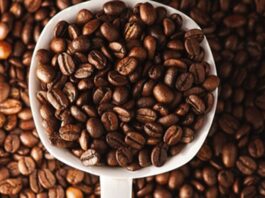 Arabica ve Robusta, dünya genelinde en yaygın olarak yetiştirilen iki temel kahve çekirdeği türü olarak öne çıkıyor. Her iki tür de milyonlarca insanın günlük tükettiği kahvelerin temelini oluştururken, yetişme koşullarından aroma profiline, kafein oranından üretim maliyetine kadar birçok farklı özelliğe sahip bulunuyor. Kahve tutkunlarının damak zevkine göre tercih ettiği bu iki çekirdek türü, aynı zamanda küresel kahve sektörü içerisinde önemli bir ekonomik değere sahip. Konulu bir haber görseli.