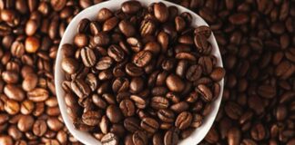 Arabica ve Robusta, dünya genelinde en yaygın olarak yetiştirilen iki temel kahve çekirdeği türü olarak öne çıkıyor. Her iki tür de milyonlarca insanın günlük tükettiği kahvelerin temelini oluştururken, yetişme koşullarından aroma profiline, kafein oranından üretim maliyetine kadar birçok farklı özelliğe sahip bulunuyor. Kahve tutkunlarının damak zevkine göre tercih ettiği bu iki çekirdek türü, aynı zamanda küresel kahve sektörü içerisinde önemli bir ekonomik değere sahip. Konulu bir haber görseli.