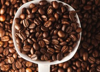 Arabica ve Robusta, dünya genelinde en yaygın olarak yetiştirilen iki temel kahve çekirdeği türü olarak öne çıkıyor. Her iki tür de milyonlarca insanın günlük tükettiği kahvelerin temelini oluştururken, yetişme koşullarından aroma profiline, kafein oranından üretim maliyetine kadar birçok farklı özelliğe sahip bulunuyor. Kahve tutkunlarının damak zevkine göre tercih ettiği bu iki çekirdek türü, aynı zamanda küresel kahve sektörü içerisinde önemli bir ekonomik değere sahip. Konulu bir haber görseli.