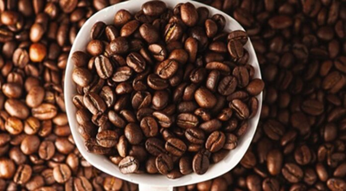 Arabica ve Robusta Arasındaki Farklar Arabica ve Robusta, dünya genelinde en yaygın olarak yetiştirilen iki temel kahve çekirdeği türü olarak öne çıkıyor. Her iki tür de milyonlarca insanın günlük tükettiği kahvelerin temelini oluştururken, yetişme koşullarından aroma profiline, kafein oranından üretim maliyetine kadar birçok farklı özelliğe sahip bulunuyor. Kahve tutkunlarının damak zevkine göre tercih ettiği bu iki çekirdek türü, aynı zamanda küresel kahve sektörü içerisinde önemli bir ekonomik değere sahip. Konulu bir haber görseli.