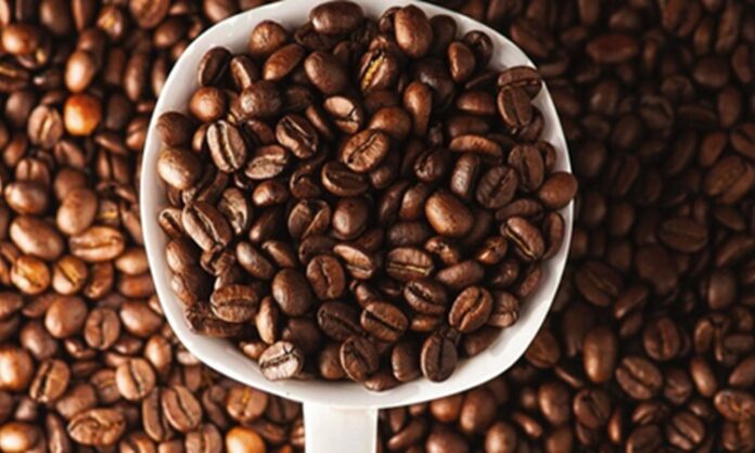 Arabica ve Robusta Arasındaki Farklar Arabica ve Robusta, dünya genelinde en yaygın olarak yetiştirilen iki temel kahve çekirdeği türü olarak öne çıkıyor. Her iki tür de milyonlarca insanın günlük tükettiği kahvelerin temelini oluştururken, yetişme koşullarından aroma profiline, kafein oranından üretim maliyetine kadar birçok farklı özelliğe sahip bulunuyor. Kahve tutkunlarının damak zevkine göre tercih ettiği bu iki çekirdek türü, aynı zamanda küresel kahve sektörü içerisinde önemli bir ekonomik değere sahip. Konulu bir haber görseli.