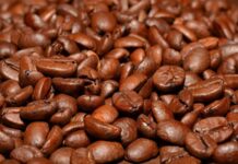 Başarılı bir kafe işletmesi, yalnızca kaliteli ürünler sunarak değil, aynı zamanda güçlü bir ekip yapısı oluşturarak da sürdürülebilir büyüme sağlayabiliyor. Günümüzde artan rekabet ortamında müşteriler yalnızca lezzetli kahve değil, güler yüzlü hizmet, hızlı servis ve profesyonel iletişim de bekliyor. Bu nedenle personel yönetimi, işletmelerin en önemli başarı kriterlerinden biri olarak öne çıkıyor. Konulu bir haber görseli.