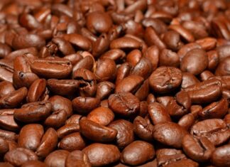 Başarılı bir kafe işletmesi, yalnızca kaliteli ürünler sunarak değil, aynı zamanda güçlü bir ekip yapısı oluşturarak da sürdürülebilir büyüme sağlayabiliyor. Günümüzde artan rekabet ortamında müşteriler yalnızca lezzetli kahve değil, güler yüzlü hizmet, hızlı servis ve profesyonel iletişim de bekliyor. Bu nedenle personel yönetimi, işletmelerin en önemli başarı kriterlerinden biri olarak öne çıkıyor. Konulu bir haber görseli.