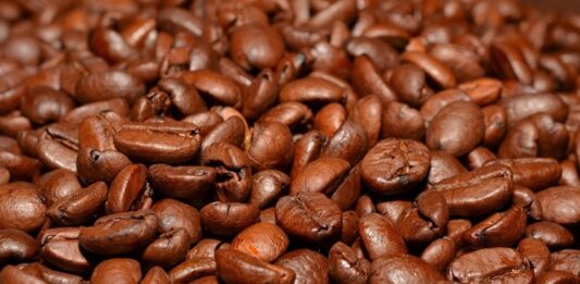 Başarılı bir kafe işletmesi, yalnızca kaliteli ürünler sunarak değil, aynı zamanda güçlü bir ekip yapısı oluşturarak da sürdürülebilir büyüme sağlayabiliyor. Günümüzde artan rekabet ortamında müşteriler yalnızca lezzetli kahve değil, güler yüzlü hizmet, hızlı servis ve profesyonel iletişim de bekliyor. Bu nedenle personel yönetimi, işletmelerin en önemli başarı kriterlerinden biri olarak öne çıkıyor. Konulu bir haber görseli.
