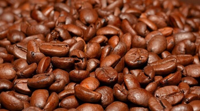 Kafe İşletmelerinde Personel Yönetimi Başarılı bir kafe işletmesi, yalnızca kaliteli ürünler sunarak değil, aynı zamanda güçlü bir ekip yapısı oluşturarak da sürdürülebilir büyüme sağlayabiliyor. Günümüzde artan rekabet ortamında müşteriler yalnızca lezzetli kahve değil, güler yüzlü hizmet, hızlı servis ve profesyonel iletişim de bekliyor. Bu nedenle personel yönetimi, işletmelerin en önemli başarı kriterlerinden biri olarak öne çıkıyor. Konulu bir haber görseli.
