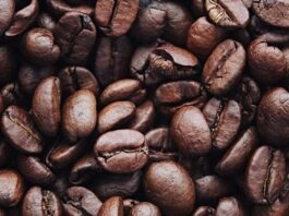 Kahve sektörü, teknolojik gelişmelerin etkisiyle son yıllarda önemli bir dönüşüm sürecine girdi. Dijital teknolojilerin yaygınlaşması, yalnızca üretim süreçlerini değil, tedarik zincirinden müşteri deneyimine kadar sektörün tüm aşamalarını yeniden şekillendiriyor. Mobil uygulamalar, çevrim içi sipariş sistemleri, yapay zekâ destekli analizler ve akıllı kahve makineleri gibi yenilikler, işletmelerin daha verimli çalışmasına katkı sağlarken tüketicilere de daha hızlı ve kişiselleştirilmiş hizmet sunuyor. Konulu bir haber görseli.