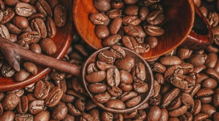 Sürdürülebilir Kahve Üretimi Nasıl Yapılıyor? Sürdürülebilir kahve üretimi, çevresel kaynakların korunmasını, üreticilerin ekonomik olarak desteklenmesini ve kaliteli ürün elde edilmesini hedefleyen modern tarım anlayışlarından biri olarak öne çıkıyor. Dünya genelinde artan kahve tüketimi, üretim miktarını artırırken doğal kaynakların daha bilinçli kullanılmasını da zorunlu hale getiriyor. Bu nedenle birçok üretici, çevreye zarar vermeyen uygulamaları benimseyerek uzun vadeli üretim planları oluşturuyor. Konulu bir haber görseli.
